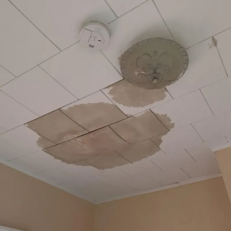 Ceiling Water Damage Repair in New Prague, MN