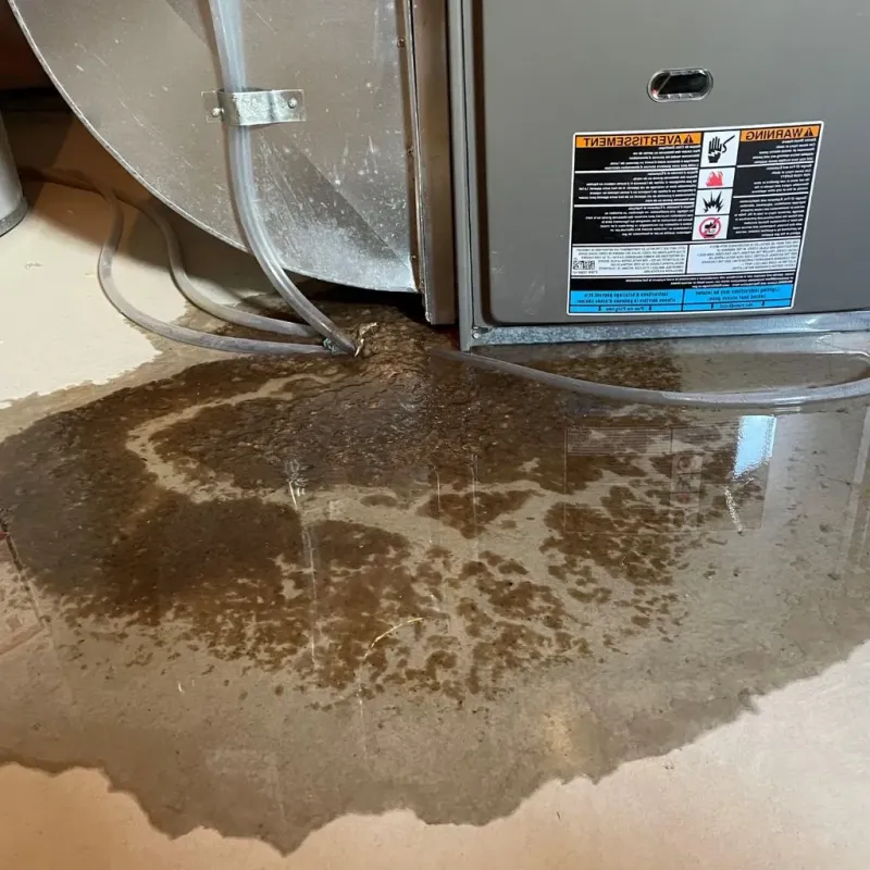 Pipe Burst and Leak Restoration in New Prague, MN